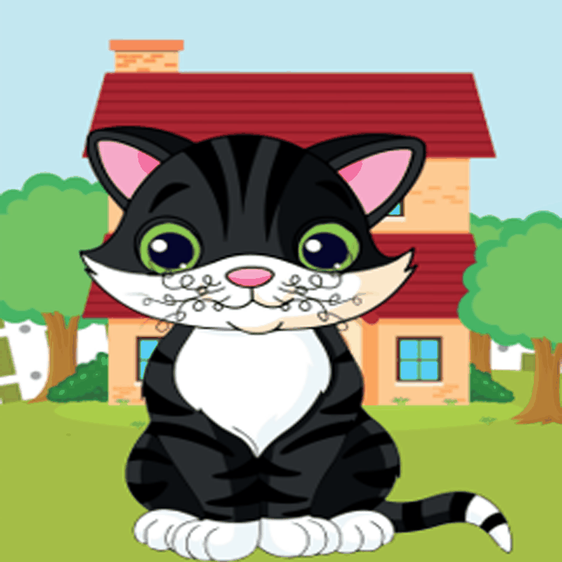 Tia the Cat